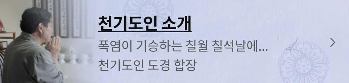 천기도인 소개