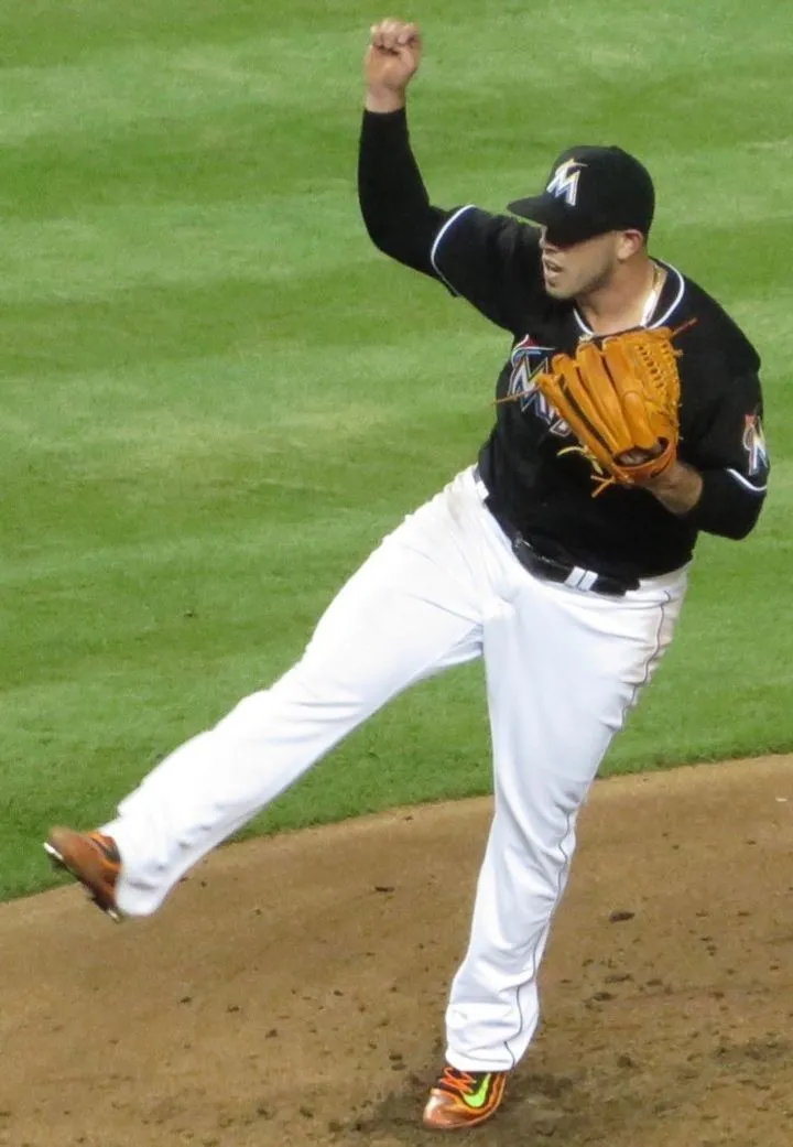 야구 선수 페르난데스 야구 선수 페르난데스