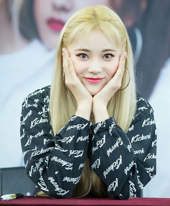 이달의 소녀 진솔