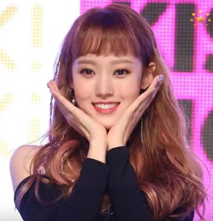 위키미키 세이 위키미키 세이