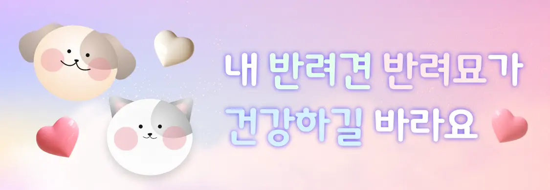 신통 천기 기부적 육축,충수해 내 반려견 반려묘가 건강하길 바라요