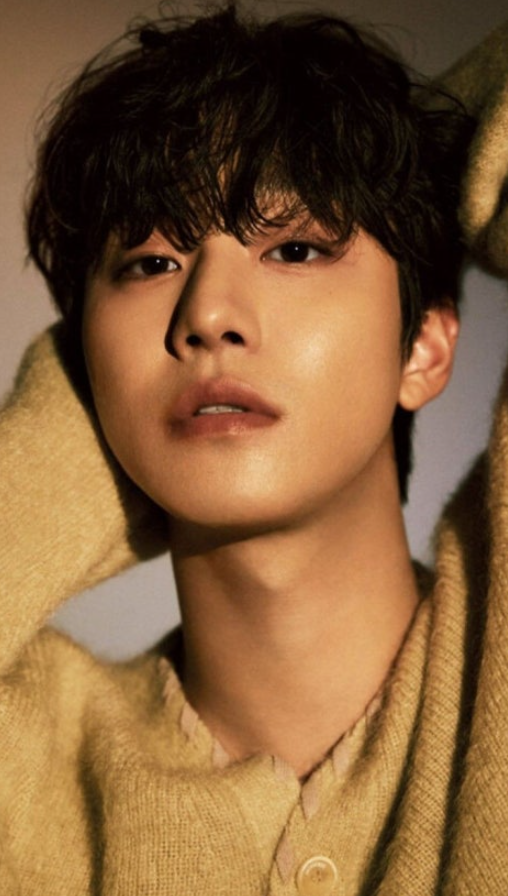 안효섭