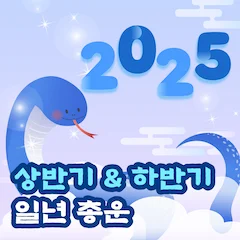 2025 새해신수