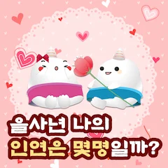 2025 인연운